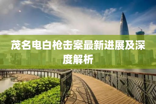 茂名电白枪击案最新进展及深度解析