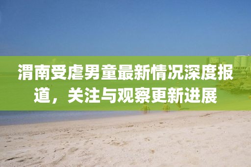 渭南受虐男童最新情况深度报道，关注与观察更新进展
