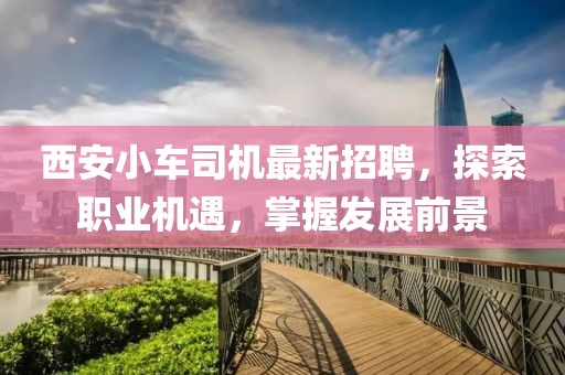 西安小车司机最新招聘，探索职业机遇，掌握发展前景