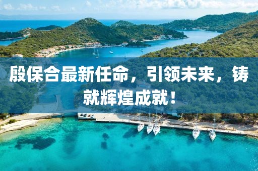 殷保合最新任命，引领未来，铸就辉煌成就！