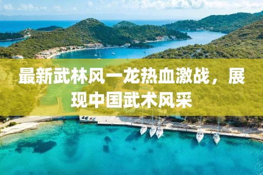 最新武林风一龙热血激战，展现中国武术风采