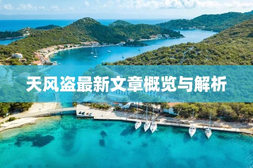天风盗最新文章概览与解析