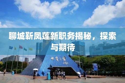 聊城靳凤莲新职务揭秘，探索与期待