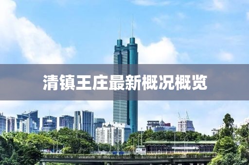 清镇王庄最新概况概览