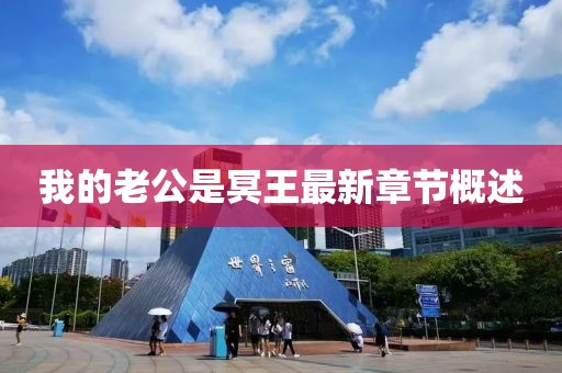 我的老公是冥王最新章节概述