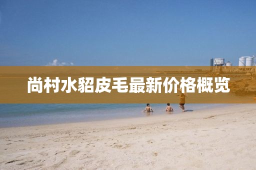尚村水貂皮毛最新价格概览