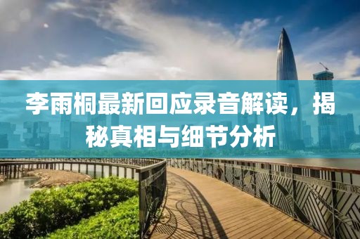 李雨桐最新回应录音解读，揭秘真相与细节分析