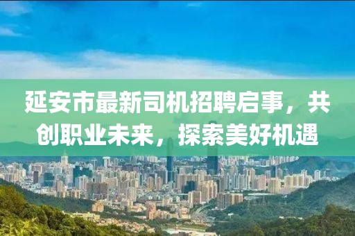 延安市最新司机招聘启事，共创职业未来，探索美好机遇