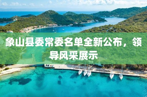 象山县委常委名单全新公布，领导风采展示