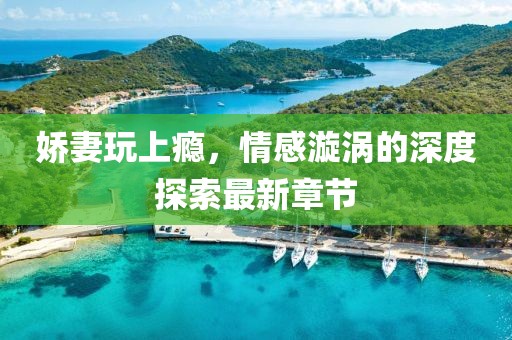 娇妻玩上瘾，情感漩涡的深度探索最新章节