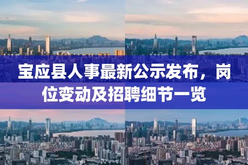 宝应县人事最新公示发布，岗位变动及招聘细节一览