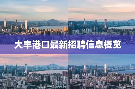 大丰港口最新招聘信息概览