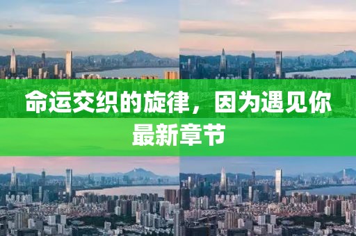 命运交织的旋律，因为遇见你最新章节