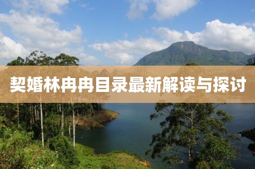 契婚林冉冉目录最新解读与探讨