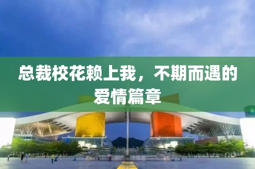总裁校花赖上我，不期而遇的爱情篇章