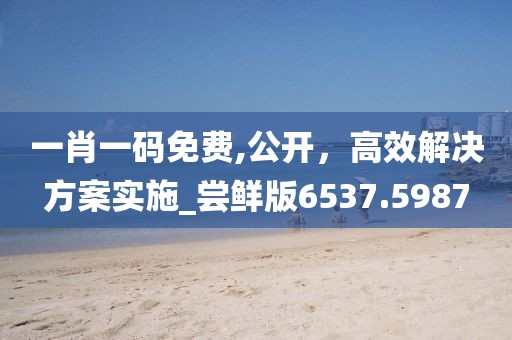 一肖一码免费,公开，高效解决方案实施_尝鲜版6537.5987