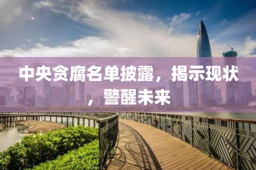 中央贪腐名单披露，揭示现状，警醒未来