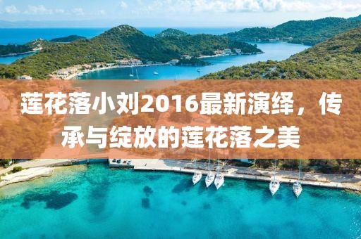 莲花落小刘2016最新演绎，传承与绽放的莲花落之美