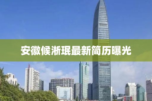 安徽候淅珉最新简历曝光