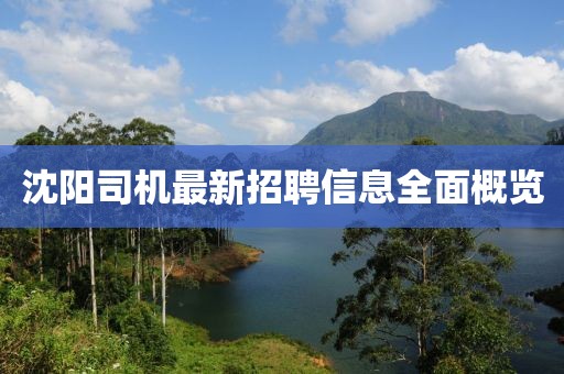 沈阳司机最新招聘信息全面概览