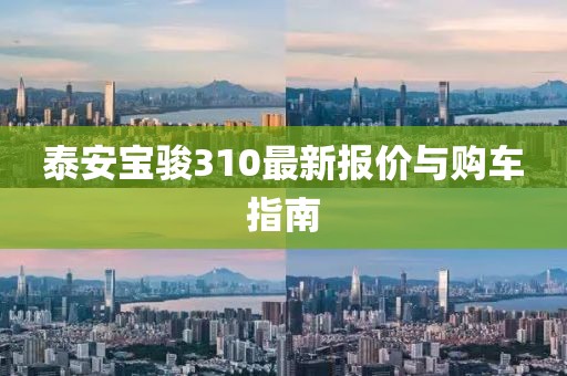 泰安宝骏310最新报价与购车指南
