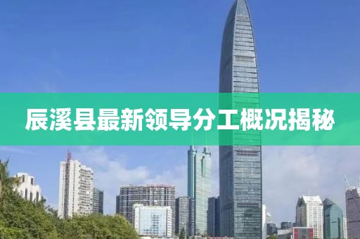 辰溪县最新领导分工概况揭秘