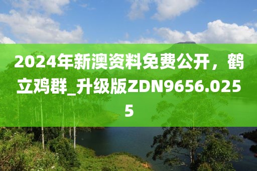 2024年新澳资料免费公开，鹤立鸡群_升级版ZDN9656.0255