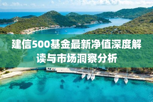 建信500基金最新净值深度解读与市场洞察分析