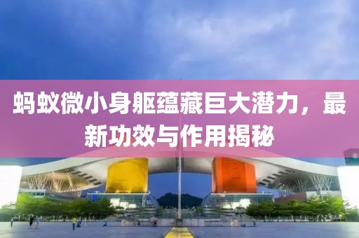 蚂蚁微小身躯蕴藏巨大潜力，最新功效与作用揭秘