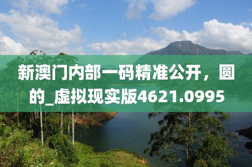 新澳门内部一码精准公开，圆的_虚拟现实版4621.0995