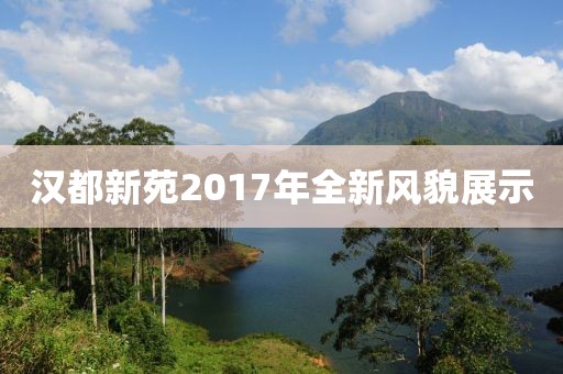 汉都新苑2017年全新风貌展示