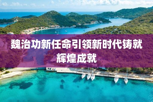 魏治功新任命引领新时代铸就辉煌成就