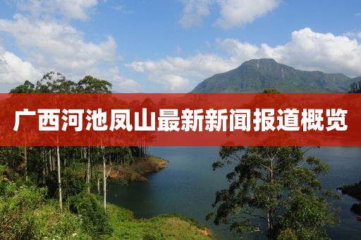 广西河池凤山最新新闻报道概览