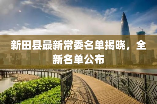 新田县最新常委名单揭晓，全新名单公布
