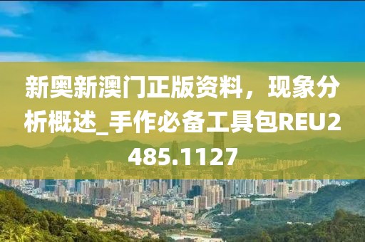 新奥新澳门正版资料，现象分析概述_手作必备工具包REU2485.1127