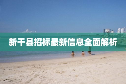 新干县招标最新信息全面解析
