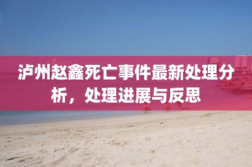 泸州赵鑫死亡事件最新处理分析，处理进展与反思