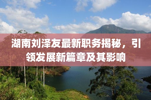 湖南刘泽友最新职务揭秘，引领发展新篇章及其影响