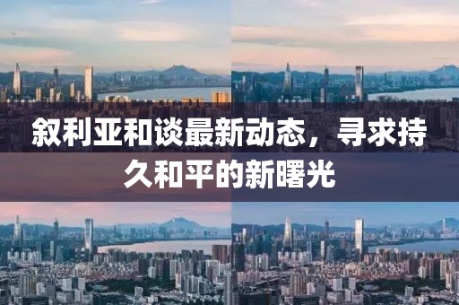 叙利亚和谈最新动态，寻求持久和平的新曙光