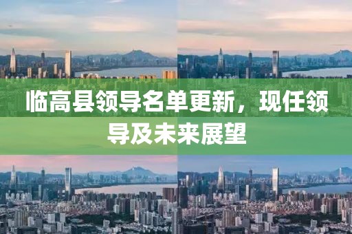 临高县领导名单更新，现任领导及未来展望