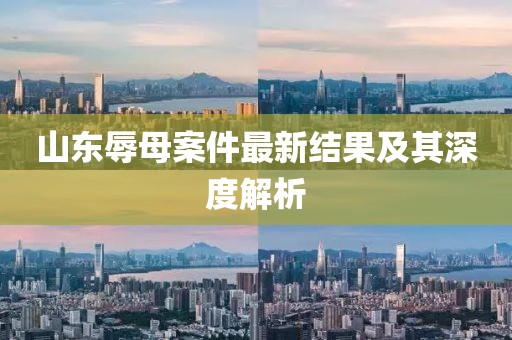 山东辱母案件最新结果及其深度解析
