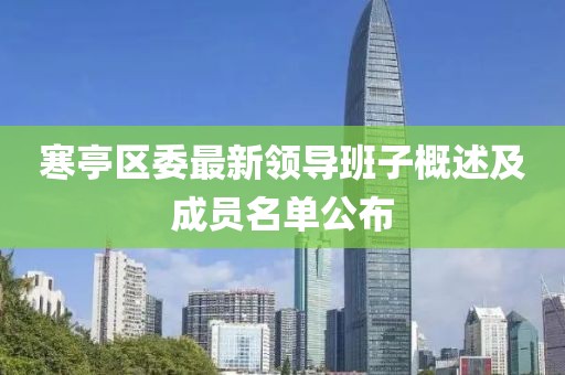寒亭区委最新领导班子概述及成员名单公布