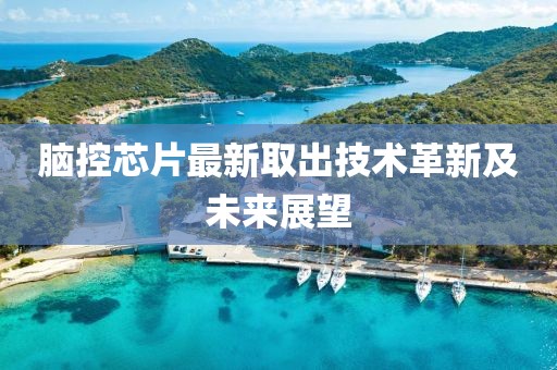 脑控芯片最新取出技术革新及未来展望