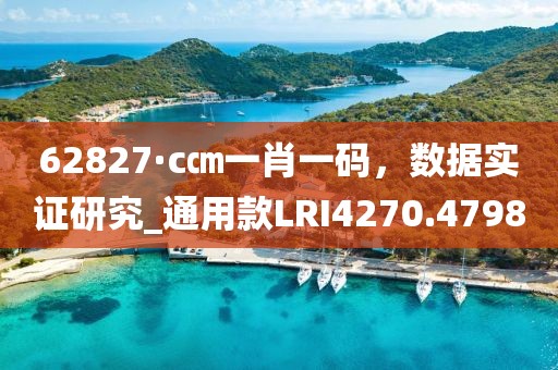 62827·c㎝一肖一码，数据实证研究_通用款LRI4270.4798