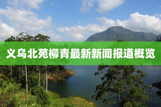 义乌北苑柳青最新新闻报道概览