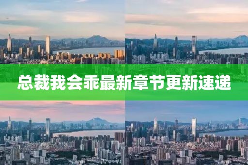 总裁我会乖最新章节更新速递