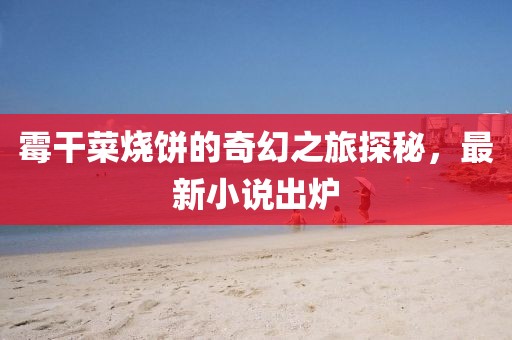 霉干菜烧饼的奇幻之旅探秘，最新小说出炉