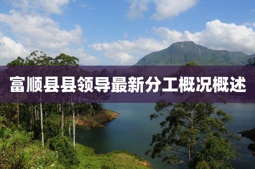 富顺县县领导最新分工概况概述