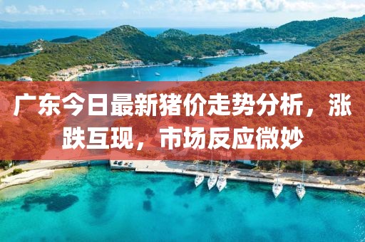 广东今日最新猪价走势分析，涨跌互现，市场反应微妙
