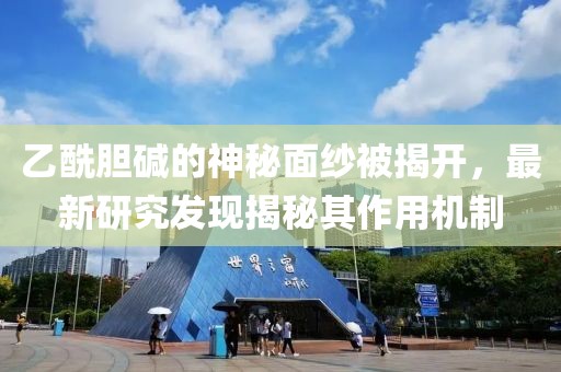 乙酰胆碱的神秘面纱被揭开，最新研究发现揭秘其作用机制